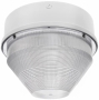 RAB LIGHTING VANGH175QTQRW