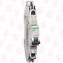 SCHNEIDER ELECTRIC MGN61341