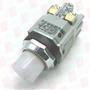 IDEC ALD29911DN-W-24V