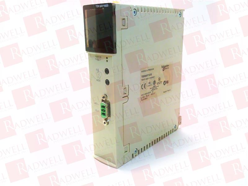 SCHNEIDER ELECTRIC TSXSAY1000