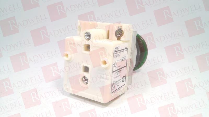 SCHNEIDER ELECTRIC 9001KR9P1GH13